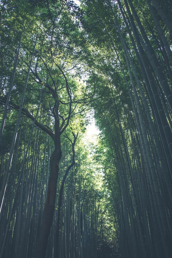 Shirakabanoyado-Taisho Villa โอซาก้า ภายนอก รูปภาพ